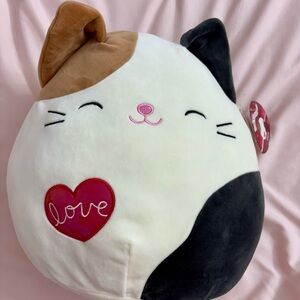 Squishmallow Cat Plushie